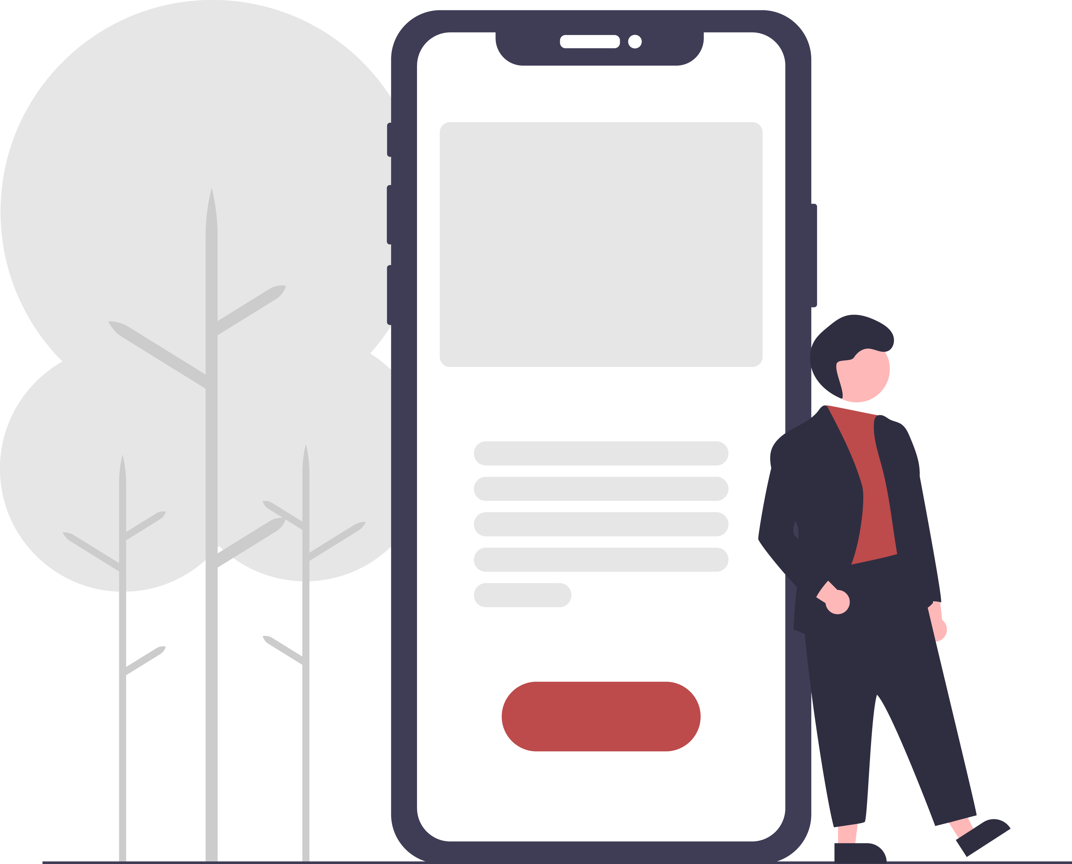 Ecommerce Application Development
